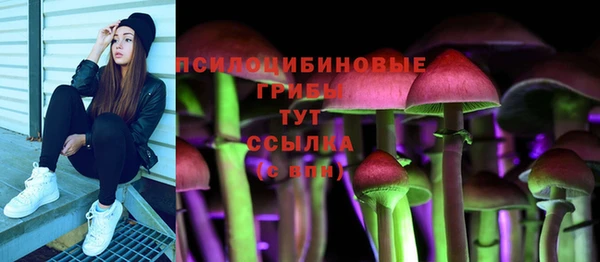 первитин Новозыбков