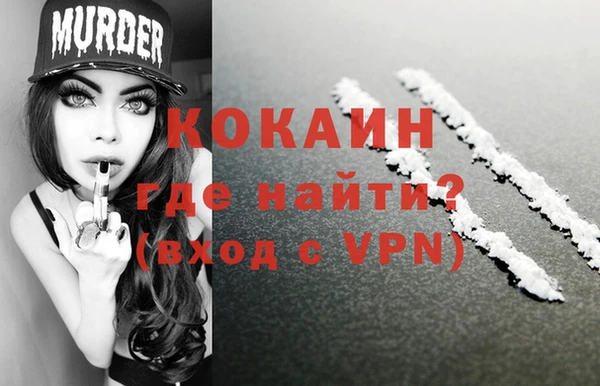 МДПВ Няндома