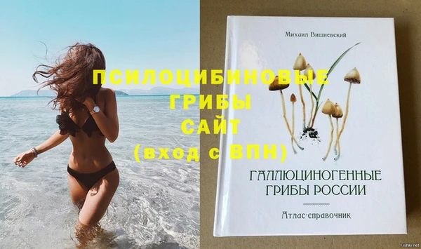 первитин Новозыбков