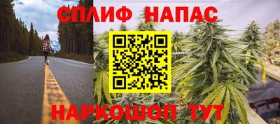 Альфа ПВП Гусиноозёрск