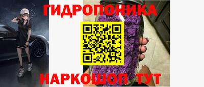 стаф Гусев