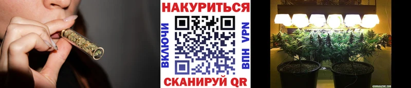 даркнет сайт  Кимовск  Шишки марихуана индика 