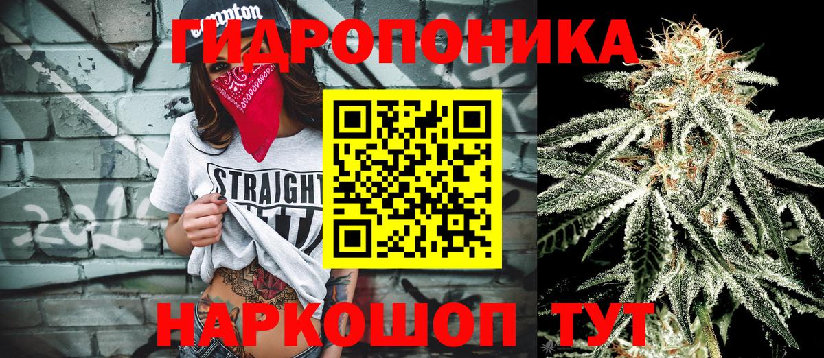 Марихуана THC 21%  Кимовск  Бошки марихуана AK-47  Канабис SATIVA & INDICA 